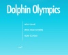 Dolphin Oplympics  