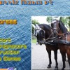 Puzzle Mania v2 - Horses