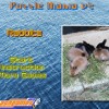 Puzzle Mania v2 - Rabbits